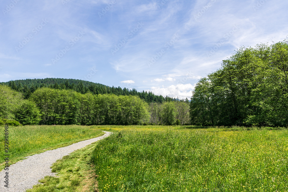 easy hiking trail in the park near Killarney Lake Bowen island british columbia. easy hiking trail in the park near Killarney Lake Bowen island british columbia.