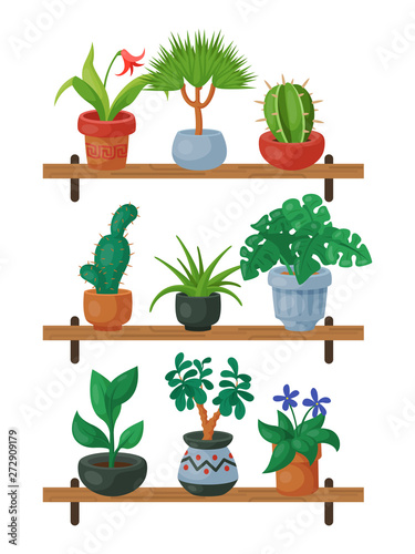 House flowers shelf indoor floriculture vector illustration. Nature home decoration gardening. Indoor plants in flowerpot beauty decorative flora. Foliage exotic garden houseplant table.