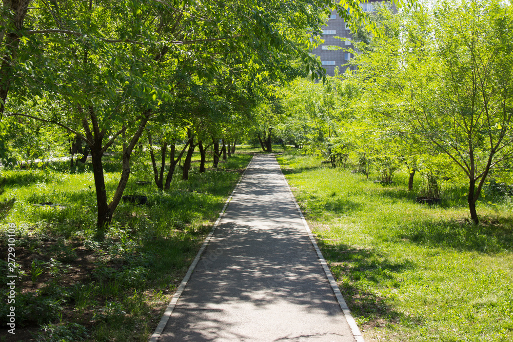 Asphalt path in the city Park in sunlight. Asphalt path in the city Park in sunlight.