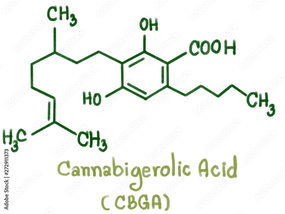Cannabigerol (CBG) is one of more than 120 identified cannabinoid compounds found in the plant genus Cannabis. Cannabigerol is the non-acidic form of cannabigerolic acid. Cannabigerol (CBG) is one of more than 120 identified cannabinoid compounds found in the plant genus Cannabis. Cannabigerol is the non-acidic form of cannabigerolic acid.