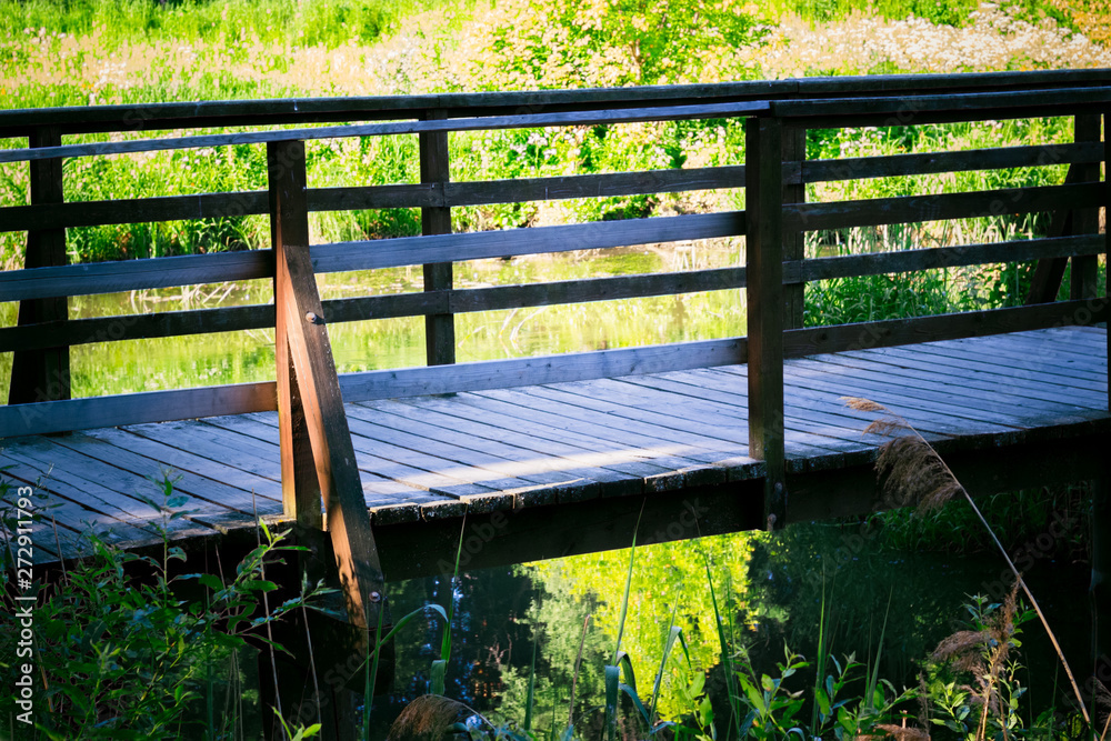 Wooden bridge in the park over the river near the green trees in summer