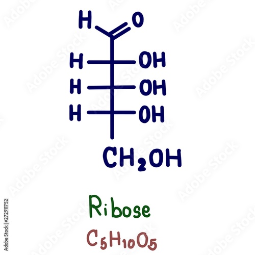 Ribose is a carbohydrate with the formula C5H10O5; specifically, it is a pentose monosaccharide (simple sugar) with linear form H−(C=O)−(CHOH)4−H, which has all the hydroxyl groups on the same side. photo