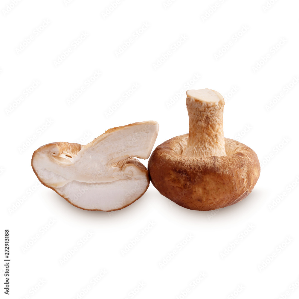 Fototapeta premium Shiitake mushroom on the White background