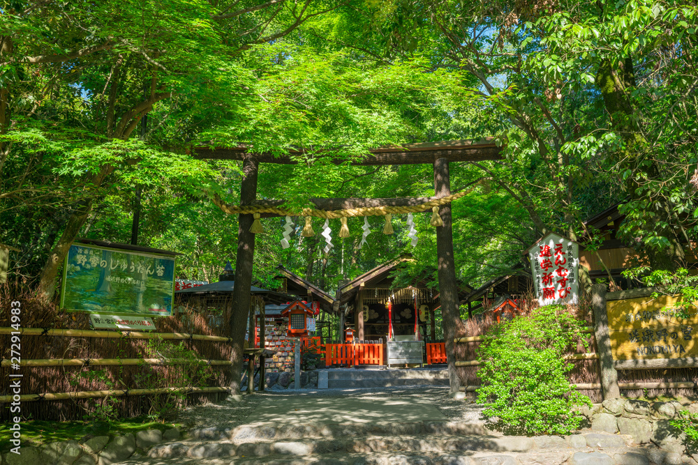 京都　野宮神社（ののみやじんじゃ）　新緑