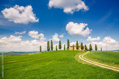 Tuscany landscape at spring , Italy