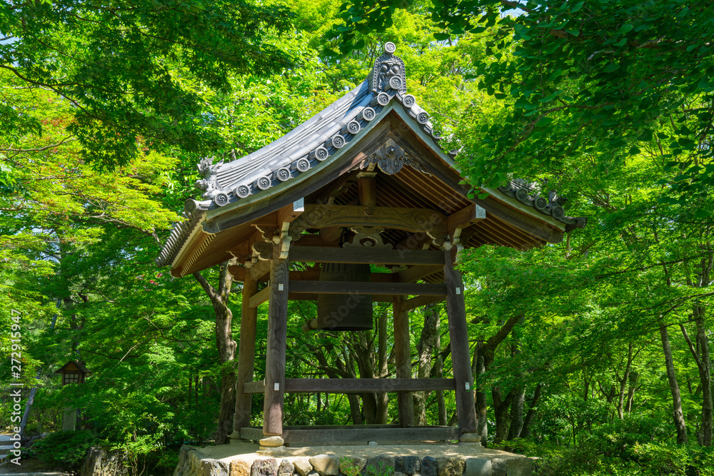 京都 常寂光寺の新緑 京都 常寂光寺の新緑