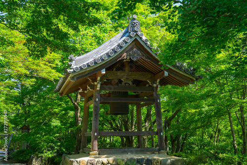 京都 常寂光寺の新緑