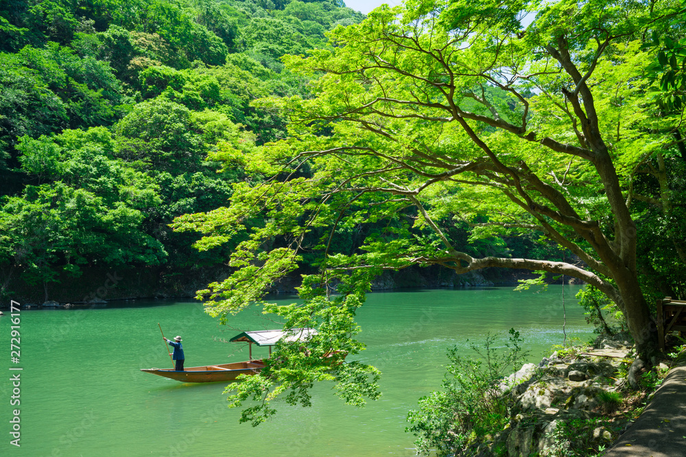 Fototapeta premium Kioto świeża zieleń Arashiyama