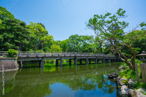 京都御苑の九條池と高倉橋 新緑 