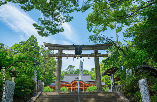 京都 長岡天満宮 新緑