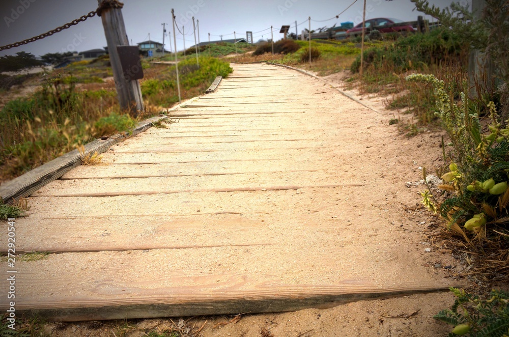 Fototapeta premium Sandy wooden path through shrubs