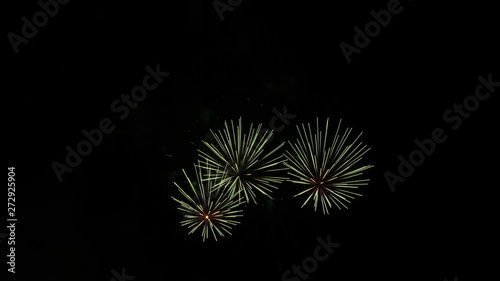 festive fireworks in the night sky © urra