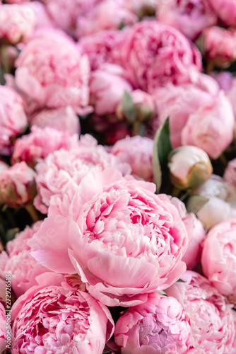 Floral carpet or Wallpaper. Background of pink peonies. Morning light in the room. Beautiful peony flower for catalog or online store. Floral shop and delivery concept .