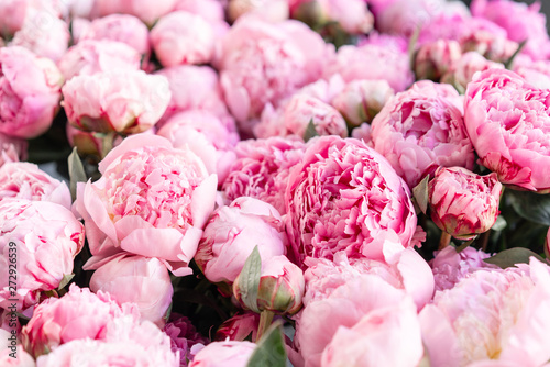 Warehouse refrigerator, Wholesale flowers for flower shops. Pink peonies in a plastic container or bucket. Online store. Floral shop and delivery concept.