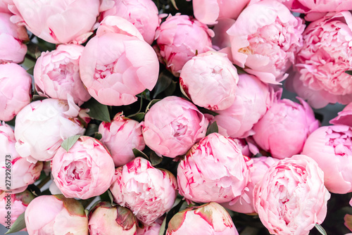 Fototapeta Naklejka Na Ścianę i Meble -  Floral carpet or Wallpaper. Background of pink peonies. Morning light in the room. Beautiful peony flower for catalog or online store. Floral shop and delivery concept .