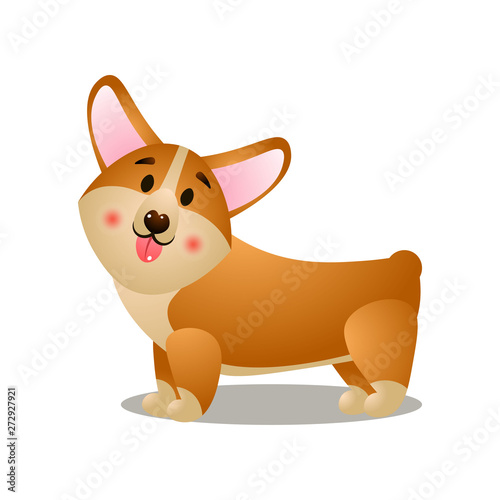Side view of corgi dog viewing and smiling to owner