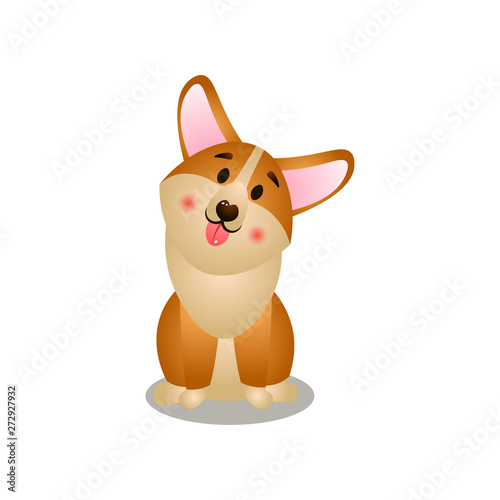Cute open mouth corgi dog stay on home place