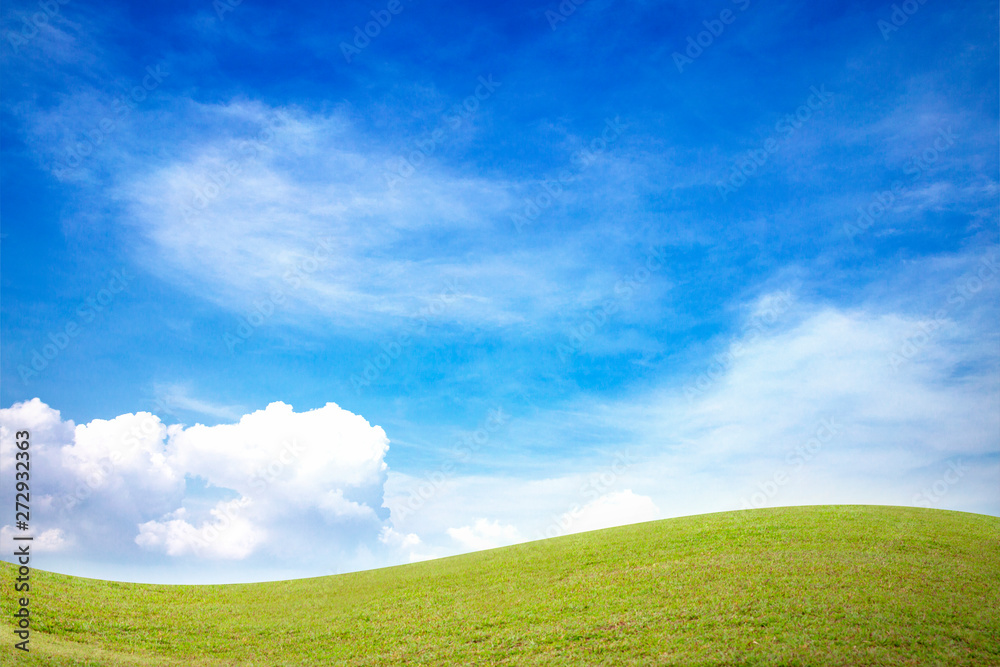 Fototapeta premium green grass field and blue sky with white clouds