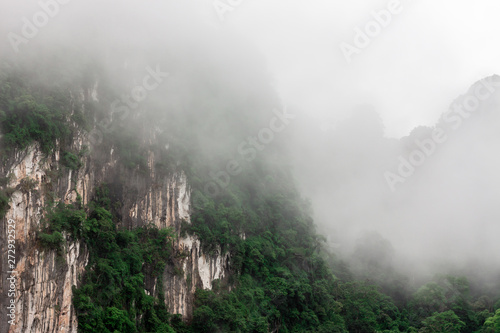 Nature forest and mountain landscape with fog in the morning 