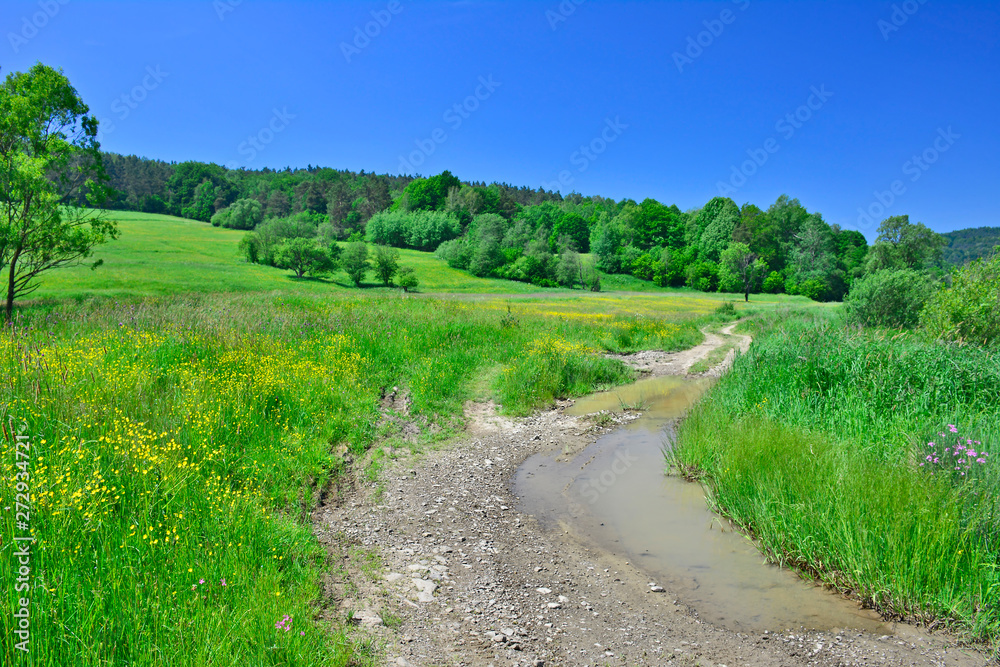 Puddle on dirt  road through the fields with yellow flowers  on sunny spring day
