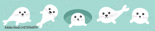 Harp baby seal pup set line. Ice-hole Cute cartoon kawaii funny character. Blue background. Isolated. Flat design.