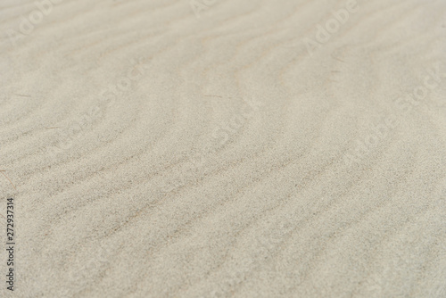abstract texture line wave sand on the beach - nature background