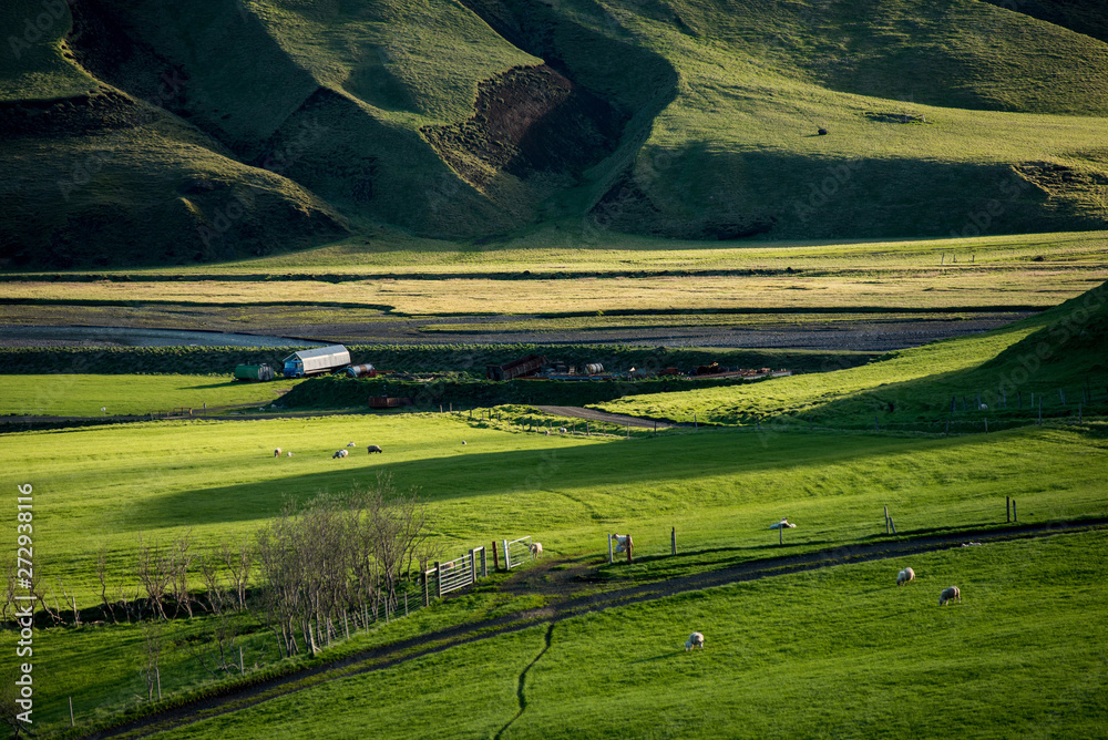 Wonderful Icelandic landscape and nature