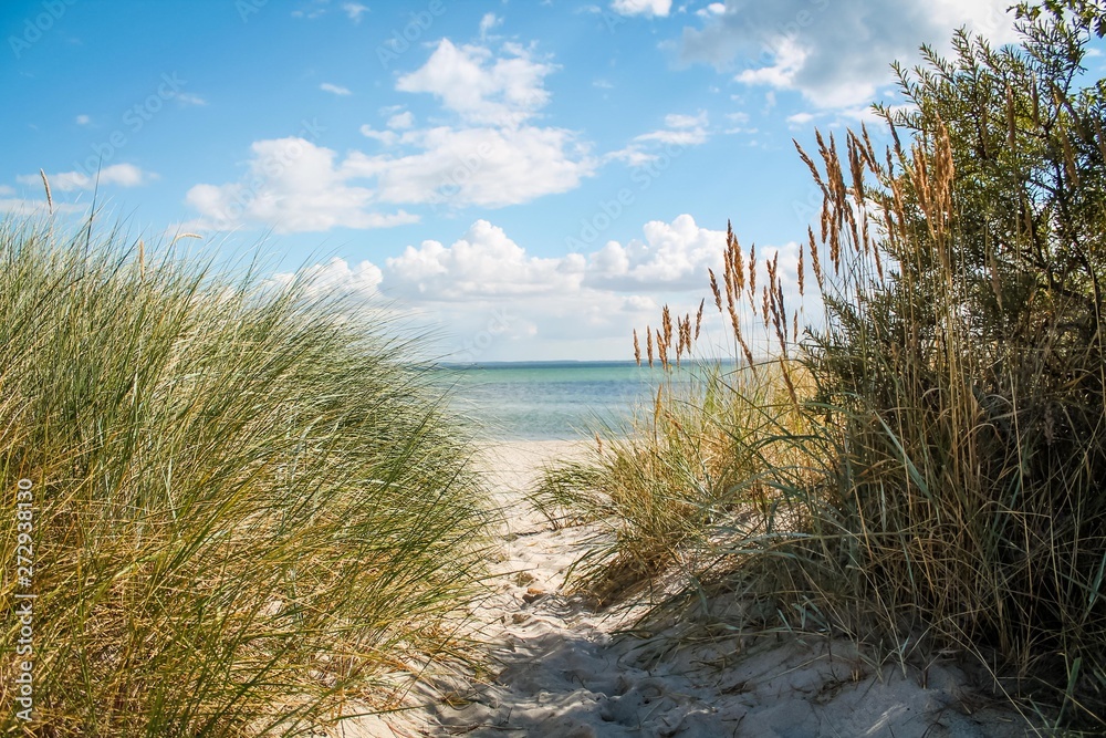 Kleiner Weg über Düne zum Strand Kleiner Weg über Düne zum Strand