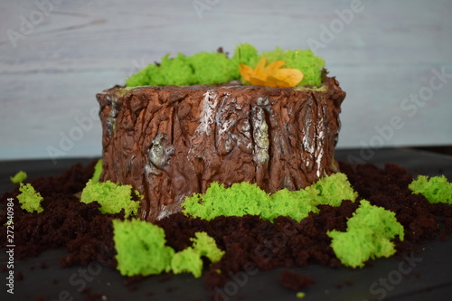 cake, gtym, chocolate cake, Cake stump