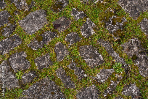 Texture paving stones with grass