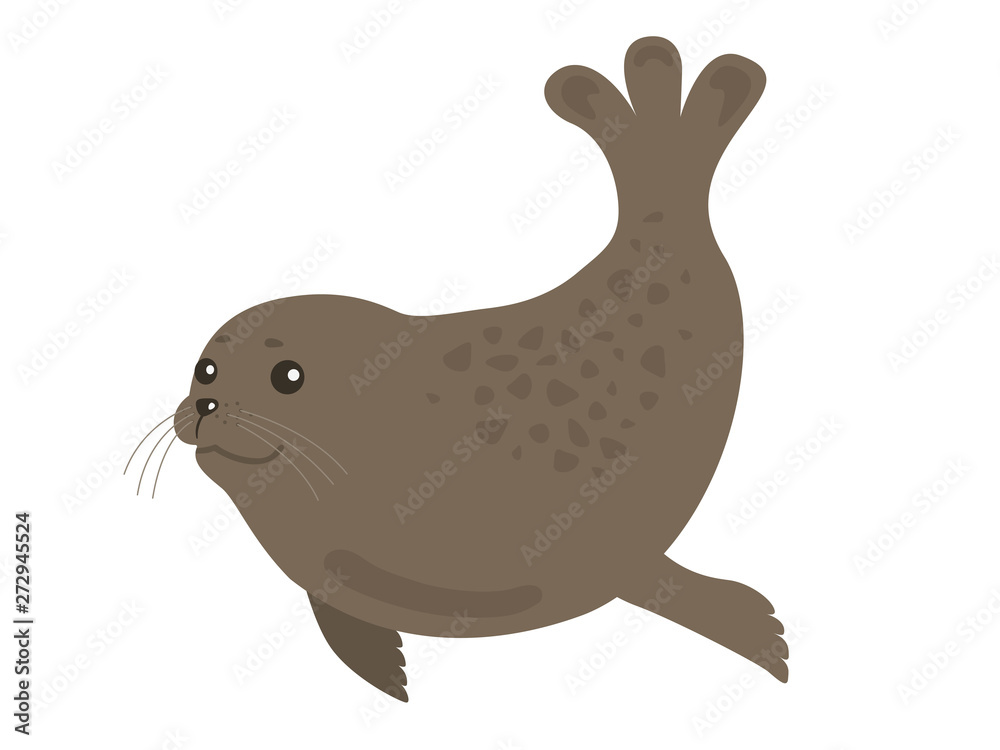 アザラシ アザラシ