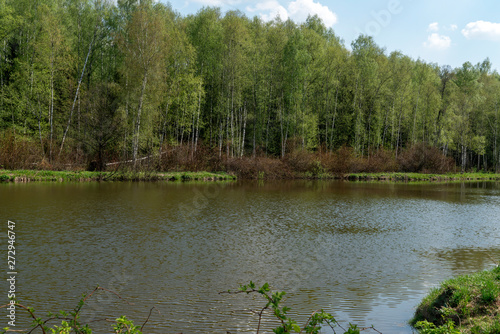 Весна. Пруд Лось.