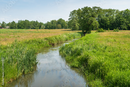 Fototapeta Naklejka Na Ścianę i Meble -  The small river Drentsche Aa in Dutch national park Drentsche Aa. Oudemolen, Holland.