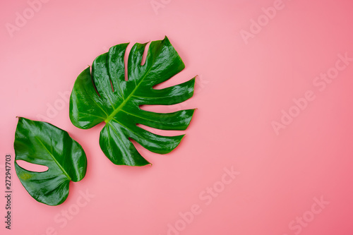 Table top view nature with spring summer holiday & vacation background concept.Arrangement monstera green left.Items on pink paper.flat lay with minimal style by pastel tone.copy space for design.