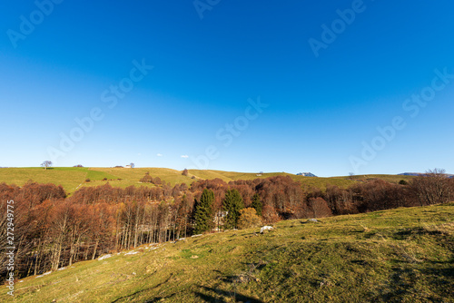 Lessinia Plateau in autumn and Alps (Carega Mountain called small Dolomites). Regional Natural Park in Veneto, Verona, Italy, Europe