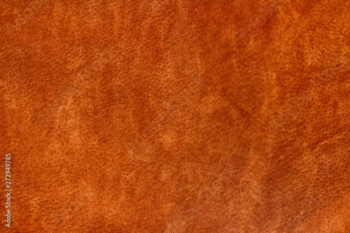Wallpaper Mural Texture of brown suede. Matte surface of pigskin suede jacket.  Material to create clothes and accessories in bohostyle. Close-up.  Torontodigital.ca