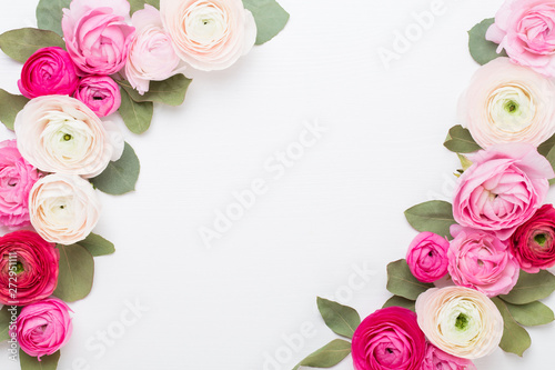 Beautiful colored ranunculus flowers on a white background. Spring greeting card.