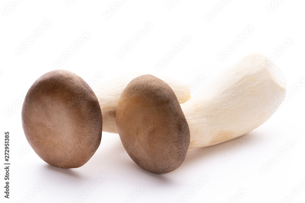 King oyster mushroom on white background.