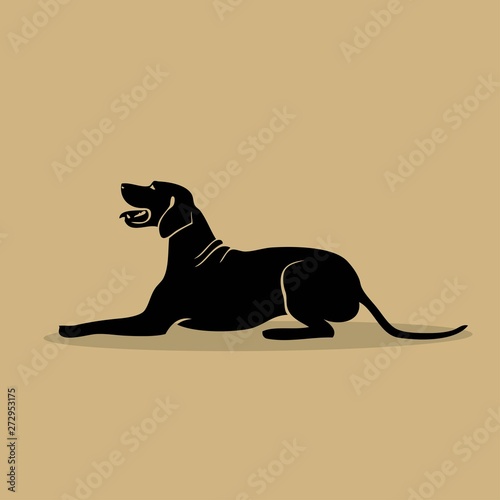 Rhodesian Ridgeback dog - isolated vector illustration - Vector