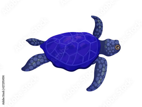 Dark blue turtle. Vector illustration on white background.