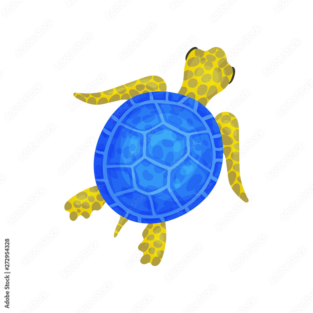 Fototapeta premium Blue turtle. View from above. Vector illustration on white background.