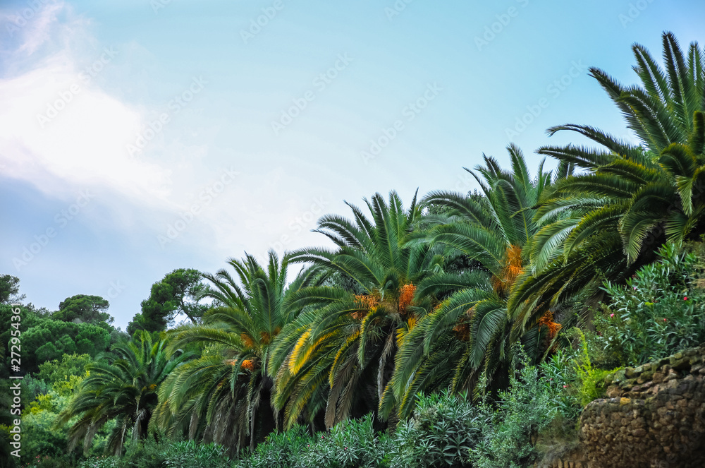 Park in Barcelona. Stone walls and palm trees. Huge cacti. Beautiful architecture. Park in Barcelona. Stone walls and palm trees. Huge cacti. Beautiful architecture.