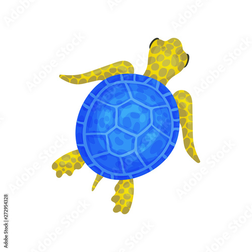 Blue turtle. View from above. Vector illustration on white background.