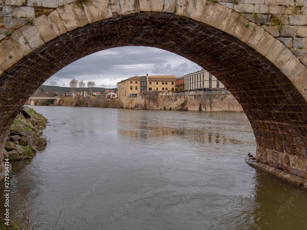Fototapeta premium Carcasone Francia castillo ciudad sur 