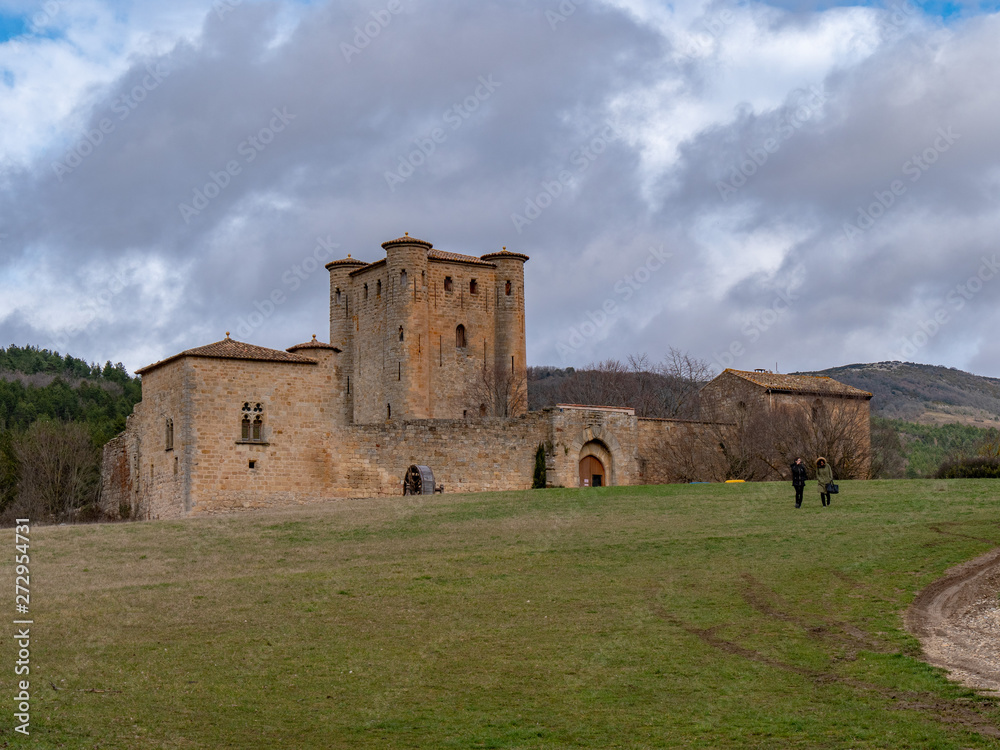 Castillo de francia 