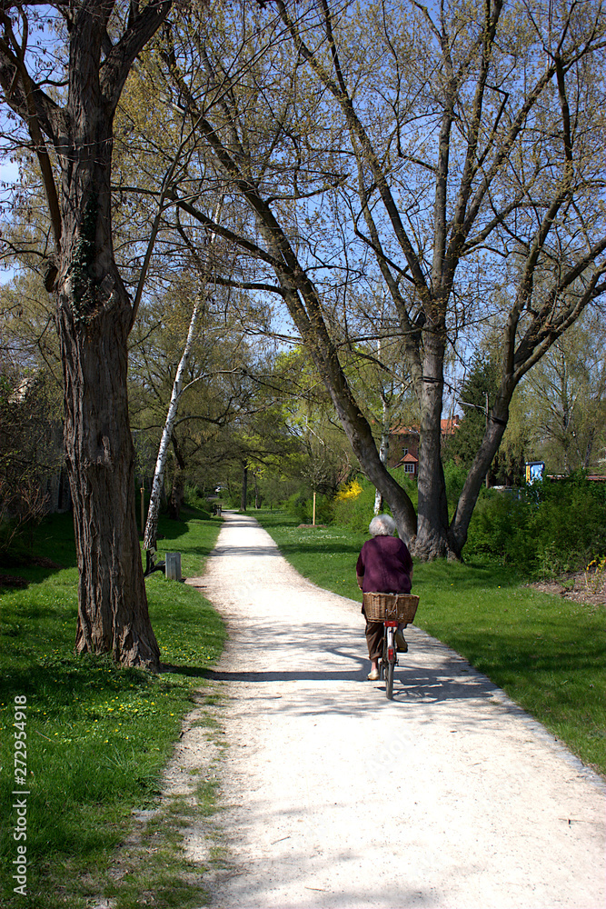 Ältere Frau fährt im Frühling Fahrrad, im Park Ältere Frau fährt im Frühling Fahrrad, im Park