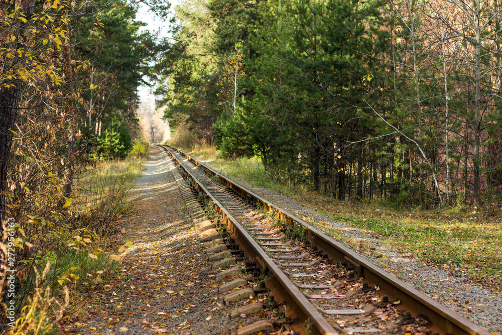 Railway in the autumn forest, sunny weather