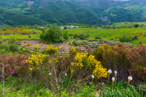 Fuentes del Narcea, Degaña e Ibias Natural Park, Asturias, Spain, Europe photo