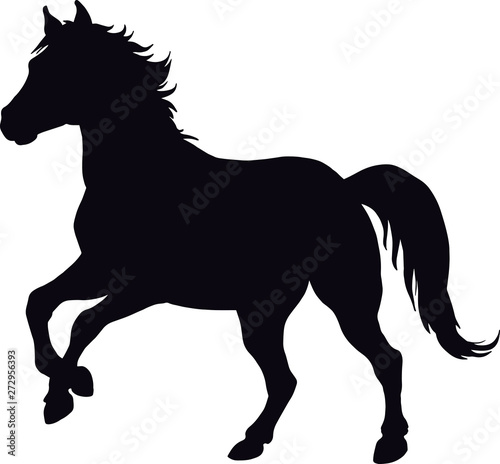 Horse farm mammal black silhouette animal