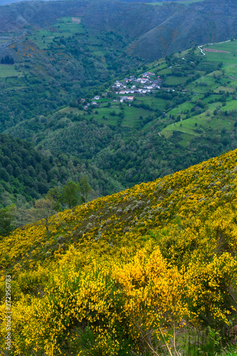 Fuentes del Narcea, Degaña e Ibias Natural Park, Asturias, Spain, Europe photo